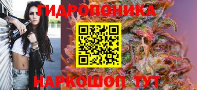 наркотики Кандалакша