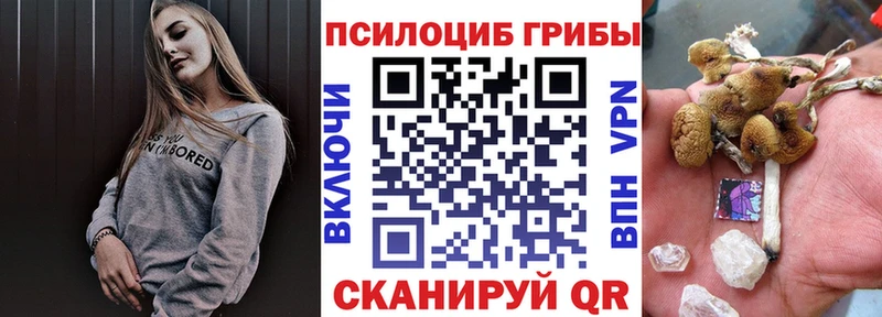 Галлюциногенные грибы Psilocybe  Усинск 