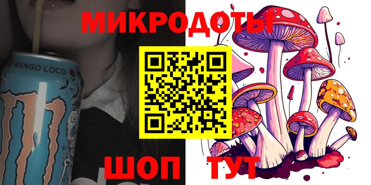 Псилоцибиновые грибы Psilocybine cubensis Усинск